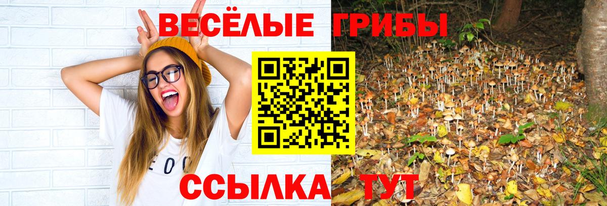 Галлюциногенные грибы мухоморы  где купить   Борисоглебск  Вход с VPN  Псилоцибиновые грибы MAGIC MUSHROOMS 